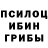 Галлюциногенные грибы Magic Shrooms Luc Monter