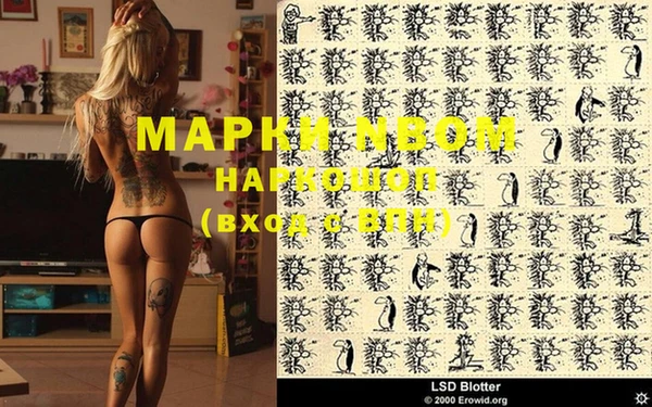 Альфа ПВП Иноземцево