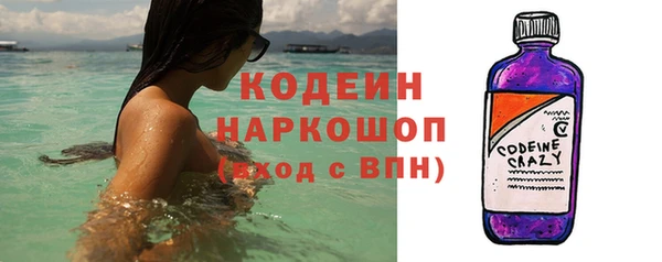 молекула духа Козельск