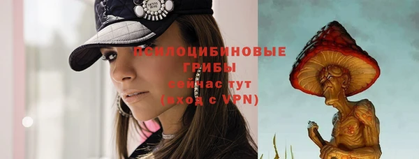 спайс Кодинск
