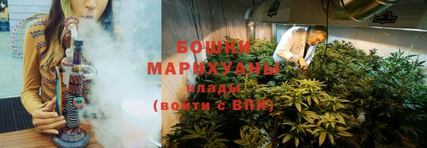 молекула духа Козельск