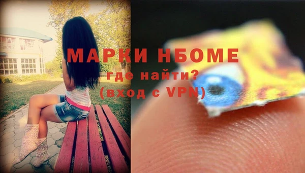 молекула духа Козельск