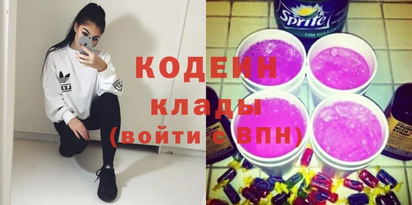 молекула духа Козельск