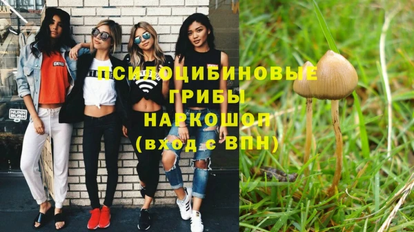 спайс Кодинск